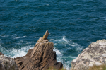 Lands End